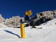 Snow cannon in the Carezza ski area
