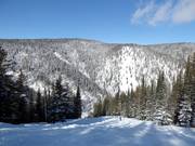 Mogul slope with Alder Point
