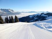 Slope at the Brandstadlbahn