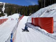 Toboggan run (Brimi Winter Run) on the Gitschberg