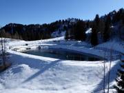 Snowmaking pond in Zoncolan