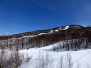 View of the forested slopes of Mont Tremblant