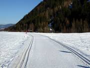 Cross-country trail in Ultental