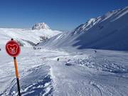 Kogel-Mogel wave track