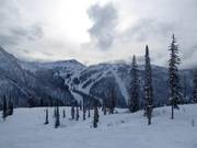 View of the slopes at the Summit Chair