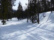 Trail in Tandådalen