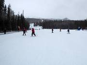 Beginner area Sunny Side with conveyor belts