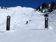Giant slalom course on the Bettmeralp with timekeeping and video