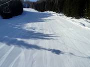 Freshly groomed Maibrunn run