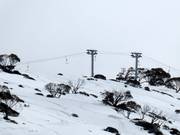 North Perisher T-Bar - T-bar