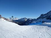 Difficult slope No. 62 Vitelli