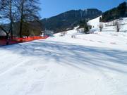 The Ministreif practice slope is ideal for beginners