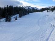 Easy slope at the Family Shuttle