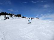 Easy slope on the Feuerberg high plateau