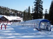 L Magic carpet - People mover/Moving Carpet with cover