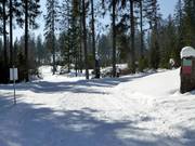 Several cross-country ski trails extend around Muggenbrunn.