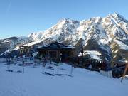 Golden eagle at the Leogang mid-station