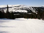 Easy slope at the Blabaerfjell platter lift