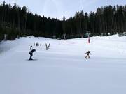 Beginner's meadow Holzstube