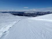 Slope No. 13 Jungfrurännen