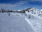 Easy Weitmoos run on the Planai