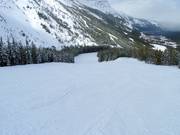 Easy slope Buffalo Flats