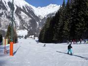 Easy slope at Köfelelift I