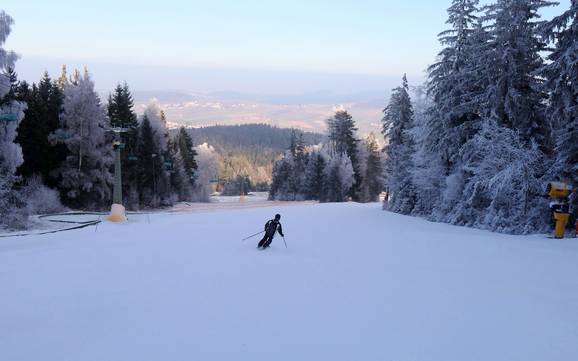Slope offering Hohenbogenwinkel – Slope offering Hohenbogen – Neukirchen bei Hl. Blut
