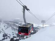 Jackson Hole Aerial Tram - 100pers. Aerial tramway/Reversible ropeway