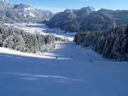 Valley run Hornspitz No. 2e