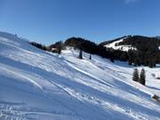 Off-piste opportunities at Waldkopf