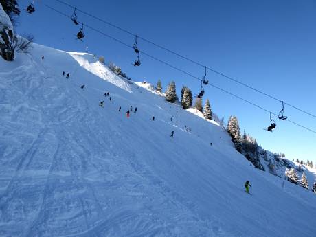 Ski resorts for advanced skiers and freeriding Alpen Plus – Advanced skiers, freeriders Brauneck – Lenggries/Wegscheid