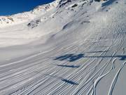 Plenty of space for freeriders