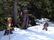 Animals native to the Alps greet you along the winter hiking trail.