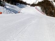 Mélèze slope below the Las Donnas cable car