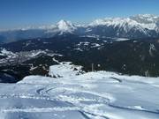 Powder snow next to the slope