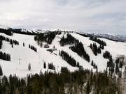 View of the Percy, Red's Run and FIS difficult slopes