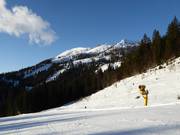 View towards Lawinenstein