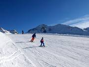 Easy Furglerblick run