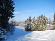 The lower slope curves around the wooded area.