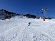 Slope at the MK Maiskogelbahn