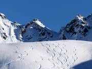Powder tracks