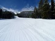 Beginner slope Jackelope