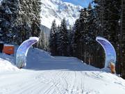 Fairy Tale Run at Rittisberg