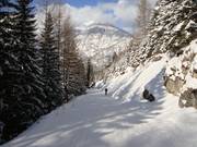 Tristenau valley run