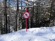 Entering the forest is prohibited