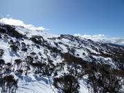 Freeride and powder slopes in the upper area of Thredbo