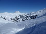 Plenty of open ski terrain