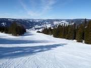 Easy section of the Hafjell piste