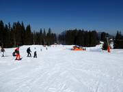 Beginners are in good hands here